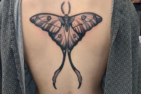 Lunar Moth Tattoo, Luna Moth Tattoo, Private Tattoo Studio, Calf Tattoo Men, Wrist Tattoos Girls, Moth Tattoo Design, Common Tattoos, Butterfly Back Tattoo, Private Tattoos