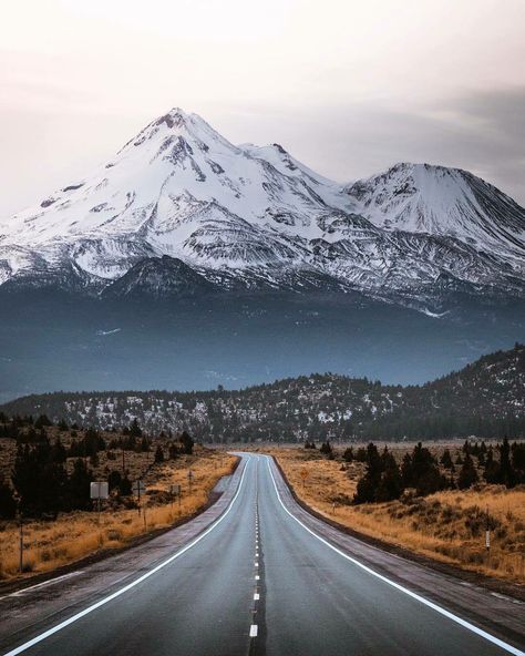 Mount Shasta California, Shasta California, Mountain Roads, Road Trip Photography, Mt Shasta, Mount Shasta, California Photos, Scenic Roads, Google Search Console