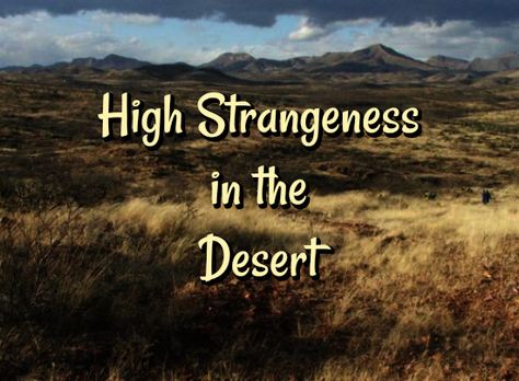 Phantoms and Monsters - Real Eyewitness Cryptid Encounter Reports Desert Cryptid Aesthetic, Desert Witch Art, Desert Cryptid, Haunted Arizona, Crypto Zoology, High Strangeness, Bigfoot Encounters, Spooky Summer, Arizona Aesthetic