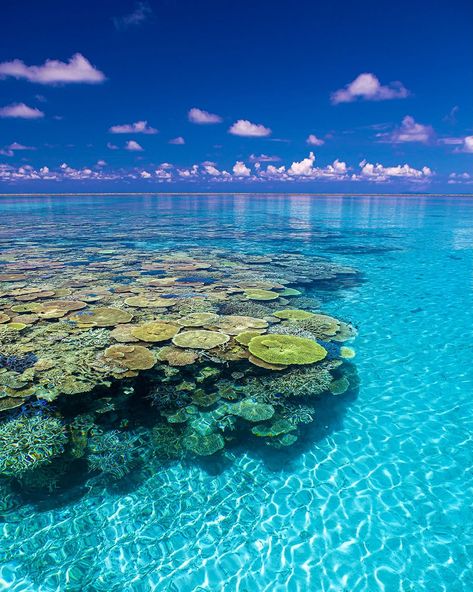 📍 Hatoma Island, Okinawa Captured by @atsushi_okiphoto Follow @his_travel to discover Japan 🌸 ------------------------------------------------- Destination Japan by HIS International Tours ------------------------------------------------- #DestinationJapan #HatomaIsland #OkinawaPrefecture #HiddenGem #ScenicOkinawa #PristineBeaches #CrystalClearWaters #JapaneseIslands #NaturalBeauty #ExploreOkinawa #VisitHatoma #TravelJapan #SereneEscape #StunningViews #CulturalHeritage #PeacefulRetreat #Tr... Okinawa Japan, Japan Aesthetic, Remote Island, Tropical Paradise, Okinawa, Travel Aesthetic, Japan Travel, Vacation Spots, Places To Travel