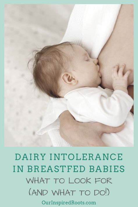 Are you dealing with dairy intolerance in breastfed babies? It can be tough! Here are some symptoms and remedies to heal your baby's allergy.  #dairyintolerance Dairy Sensitivity Symptoms, Dairy Allergy Baby, Dairy Intolerance Symptoms, Milk Allergy Baby, Dairy Allergy Symptoms, Cows Milk Allergy, Home Remedies For Allergies, Dairy Intolerance, Dairy Allergy