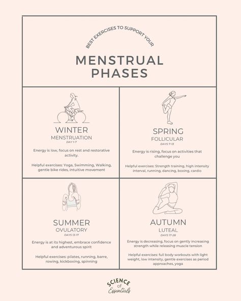 4 Seasons Of Menstrual Cycle, Womans Cycle Chart, Menstrual Cycle Phases Mood, Period Cycles Phases, Menstrual Phase Exercise, Menstrual Cycle Phases Explained, Exercise Based On Menstrual Cycle, Menstrual Cycle Phases Exercise, Four Phases Of Menstrual Cycle