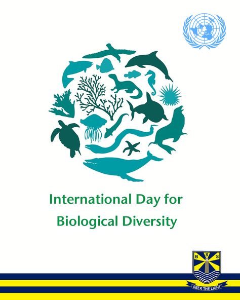 International Day for Biological Diversity Biological Diversity Poster, Diversity Poster, Biological Diversity, International Day, Animal Welfare, Girly Photography, Mood Boards, Pakistan, Eco Friendly