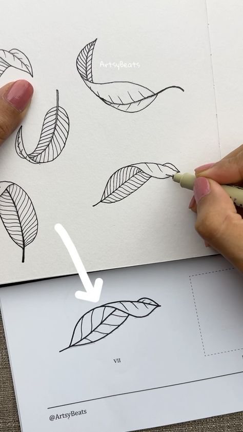 Learn to draw curved leaves 🍃 🚀 Step-by-step guide to draw leaves in different perspective is now available for download at my online… | Instagram Different Leaf Drawings, Drawing Leaves Easy, Botanical Line Drawing Step By Step, Drawing Leaves Step By Step, Falling Leaves Drawing, How To Draw Leaves, Flat Florals, Leaf Drawing Easy, Doodles Mandala