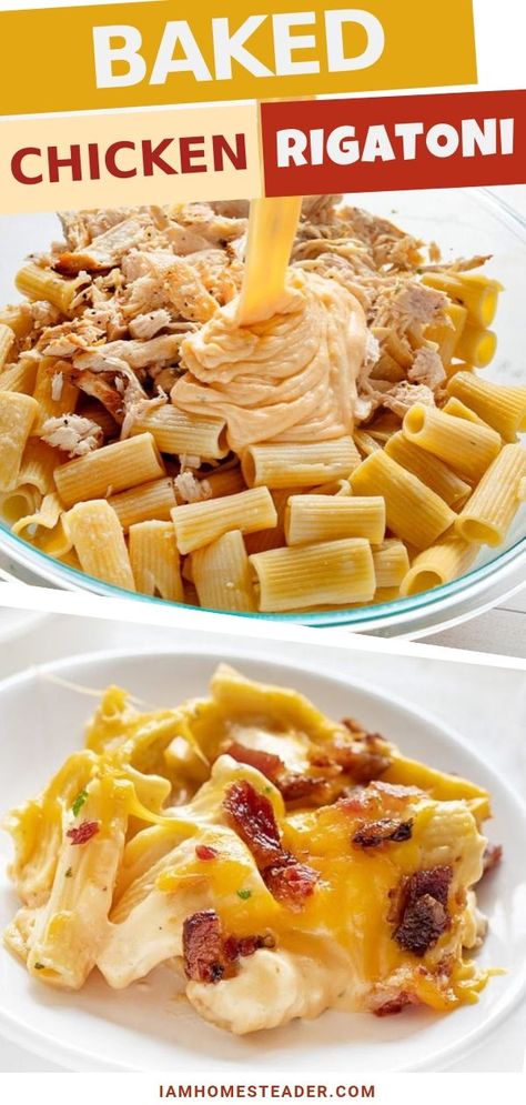 Chicken Rigatoni Recipes, Cheesy Bacon Chicken, Chicken Rigatoni, Baked Pasta Dishes, Easy Shredded Chicken, Chicken Pasta Bake, Baked Pasta, Best Pasta Recipes, Easy Chicken Dinner Recipes