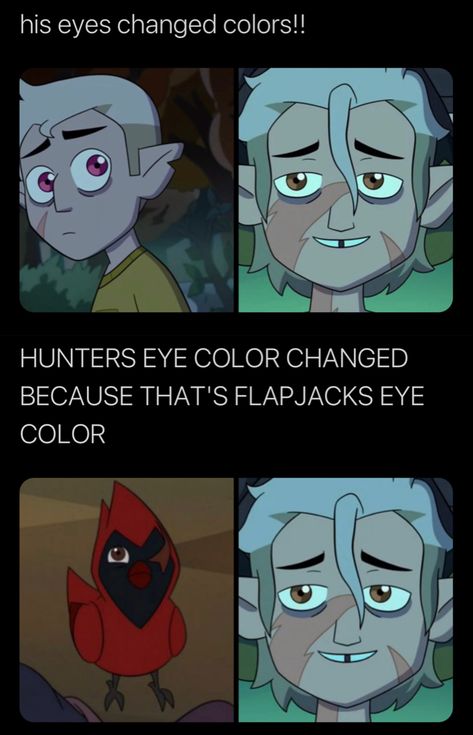 Hunter Toh Thanks To Them, Flapjack The Owl House, Toh Hunter, Toh Memes, Hunter Toh, Owl Family, Fresh Memes, Disney Shows, The Owl House