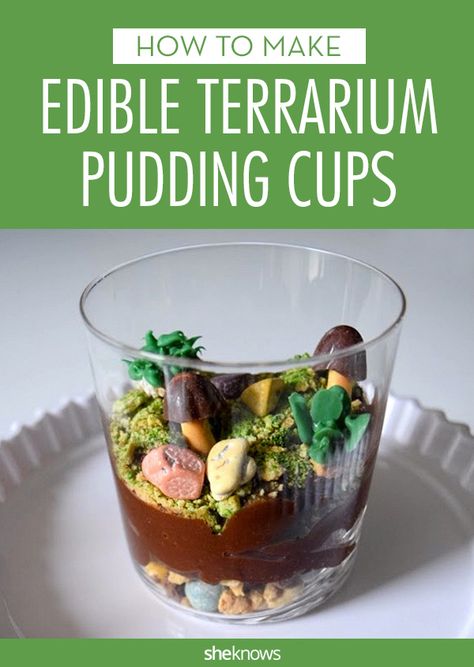 Edible terrarium cups complete with rocks, mushrooms and succulents will make you forget all about dirt cups Mushroom Candy Diy, Fairy Dirt Cups, Terrarium Cake Ideas, Nature Themed Food, Terrarium Cake, Edible Terrarium, Nature Dessert, Dirt Cups Dessert, Terraria Cake