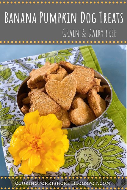 Chickpea Dog Treats, Pumpkin And Banana Dog Treats, Banana Pumpkin Dog Treats, Dog Treats With Banana And Pumpkin, Pumpkin Banana Dog Treats, Costa Rican Recipes, Dog Treats Homemade Pumpkin, Puppy Products, Dog Treats Homemade