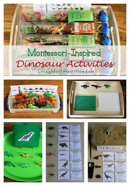 Montessori Monday – Montessori-Inspired Dinosaur Activities Using Dinosaur Replicas and Montessori Print Shop Materials Dinosaur Themed Activities, Dinosaur Unit Study, Montessori Culture, Dinosaur Activity, Montessori Science, Dinosaurs Preschool, Diy Montessori, Montessori Homeschool, Montessori Preschool