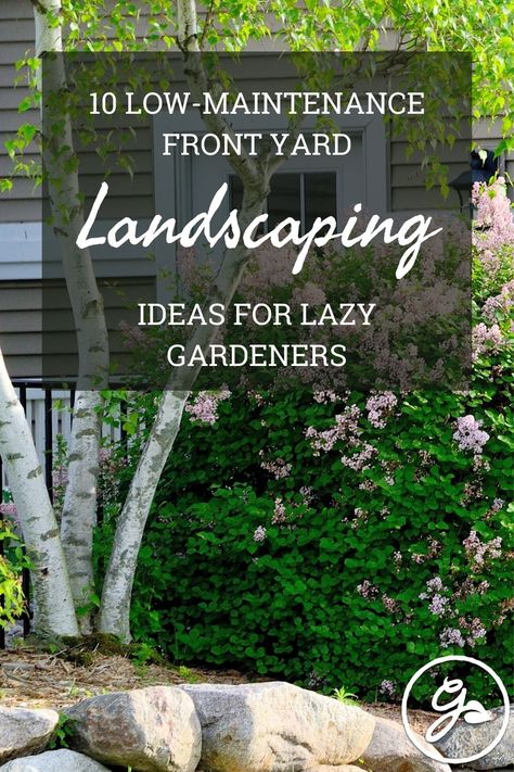 Lazy gardeners, rejoice! Here are 10 low-maintenance front yard landscaping ideas to lighten your landscaping load and give you more time to actually enjoy your outdoor space. Low Maintenance Front Yard Landscaping Ideas Zone 5, Large Front Yard Landscape Ideas, Very Small Front Yard Landscaping, Simple Low Maintenance Front Yard, Front Yard Landscape Low Maintenance, Front Yard Landscaping Design Minimalist, No Water Landscaping Front Yards, Front Yard Cheap Landscaping Ideas, How To Start Landscaping Front Yard