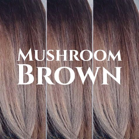 10 cool & stunning mushroom brown hair colouring ideas you will love | Top Leading Hair Salon in Singapore and Orchard | Chez Vous Hair Colouring Ideas, Mushroom Brown Hair Color, Light Brown Hair Shades, Brown Hair Cuts, Mushroom Brown Hair, Pale Skin Hair Color, Colouring Ideas, Mushroom Hair, Hair Colouring