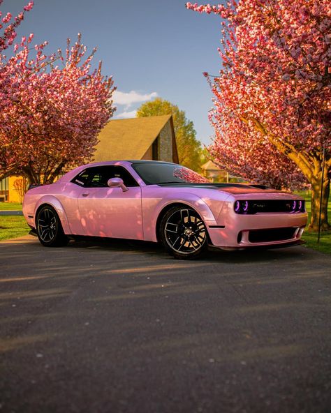 Hot Pink Cars, Pink Cars, Pink Car Accessories, Dodge Charger Hellcat, Dodge Muscle Cars, Pimped Out Cars, Girly Car, Dodge Challenger Srt, Custom Muscle Cars