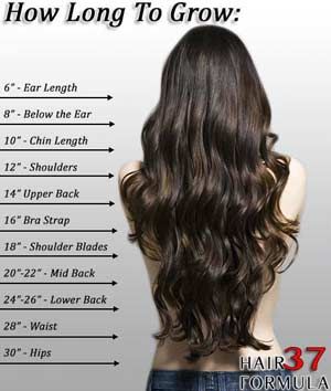 Hair Growth Calculator | How to Make Your Hair Grow Faster Hair Chart, Hip Hair, Pink Purple Hair, Auburn Red, Cambodian Hair, Hair Extentions, Wavy Style, Grow Hair Faster, Malaysian Hair