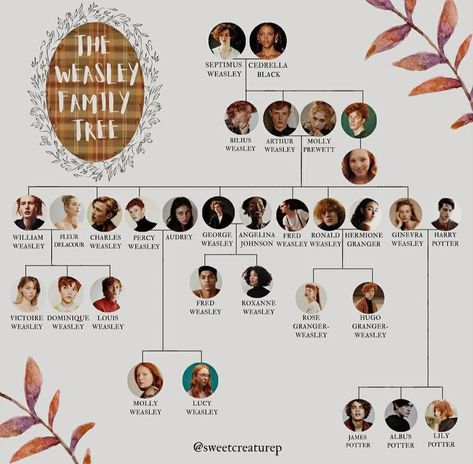 Harry Potter Black Family Tree, Dumbledore Family Tree, Black Family Tree Harry Potter, Malfoy Family Tree, Family Tree Harry Potter, Potter Family Tree, Weasley Family Tree, Hogwarts Family, Harry Potter Family Tree