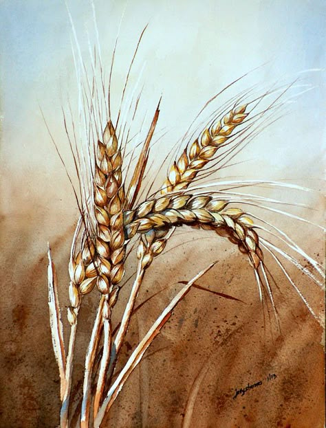 Wheat Drawing, Wheat Tattoo, Wheat Stalk, Image Nature, Wheat Fields, 그림 그리기, Beautiful Paintings, Painting Inspiration, Lany