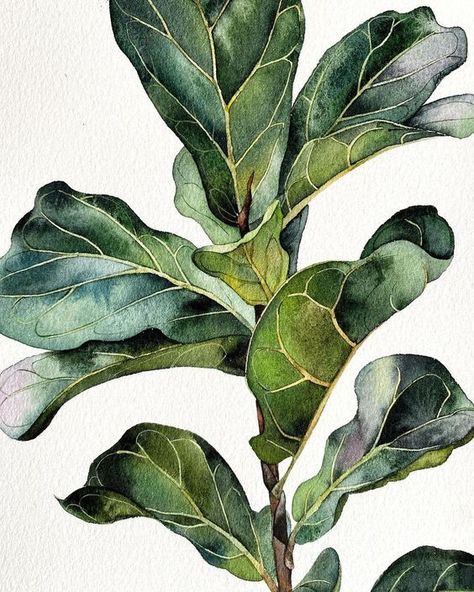 Watercolor Plant Paintings, Watercolor Botanical Art, Plant Leaves Drawing, Watercolour Plants, Plants Painting, Plant Watercolor, Leaves Painting, Botanical Plants, Leaves Watercolor