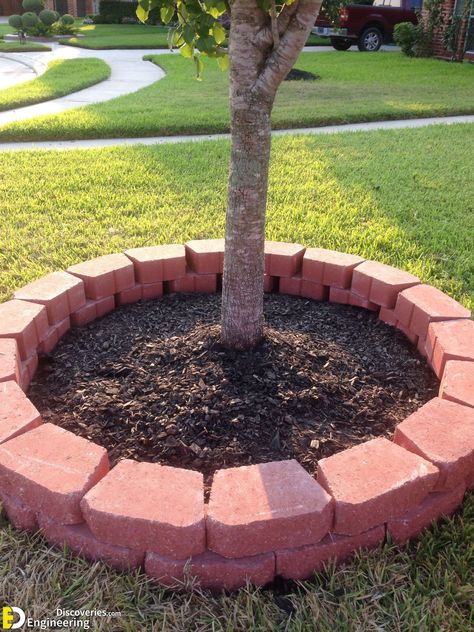 Ring Around Tree Front Yards, Bricks Around Tree, Tree Surround Ideas, Tree Ideas Outdoor, Landscape Bricks, Brick Planter, Raised Garden Bed Ideas, Garden Bed Ideas, Landscaping Around Trees