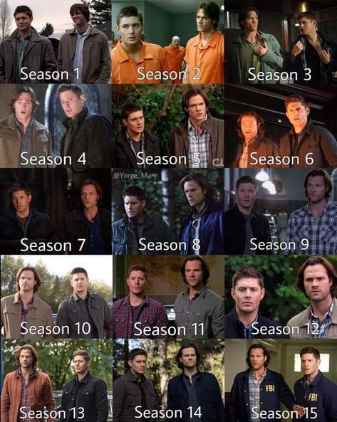 Scoobynatural Wallpaper, Supernatural Season 3, Supernatural Season 2, Supernatural Jokes, Jared Supernatural, Spn Memes, Supernatural Wallpaper, Supernatural Pictures, Supernatural Quotes