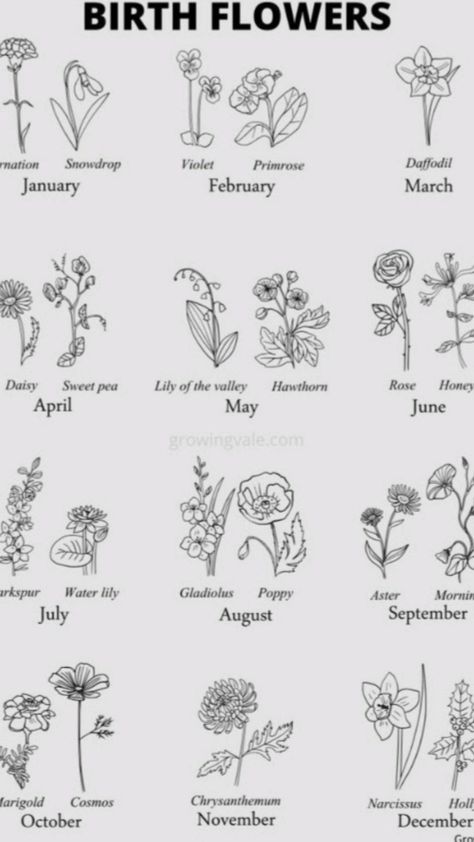 Birth Flowers By Month, Flowers By Month, Locket Picture, Necklace Photo, Birth Flower Tattoos, Picture Locket, Feminine Tattoo, Round Locket, Dainty Tattoos