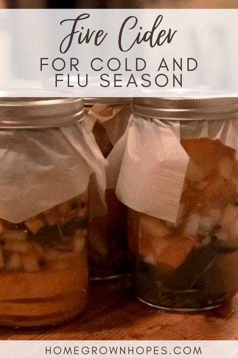 Learn how to make homemade fire cider, a powerful folk remedy packed with immune-boosting benefits. This easy recipe combines apple cider vinegar, honey, garlic, ginger, turmeric, and herbs to create a versatile tonic. Perfect for supporting your immune system, gut health, or even as a zesty salad dressing. A quick, natural remedy that makes a thoughtful and unique gift too! Fire Cider Benefits, Zesty Salad Dressing, Fire Cider Recipe, Fire Cider, Cider Recipe, Ginger Turmeric, Ginger And Honey, Honey Recipes, Homemade Remedies