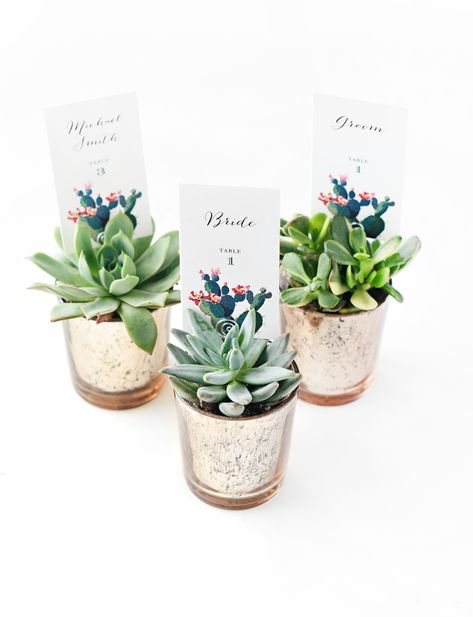 DIY Succulent Place Card Holders - Beacon Lane Blog Place Cards Ideas, Card Holder Diy, Brides Table, Succulent Ideas, Bunny Invitations, Printable Place Cards, Succulent Wedding Favors, Green Wedding Flowers, Succulent Bouquet