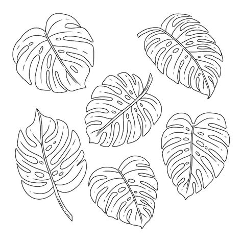 Free Vector | Tropical leaf and flower collection Monstera Leaf Outline, Leaf Coloring Page, Leaf Outline, Outline Illustration, Flower Outline, Flower Collection, Leaf Drawing, Leaves Vector, Tropical Flower