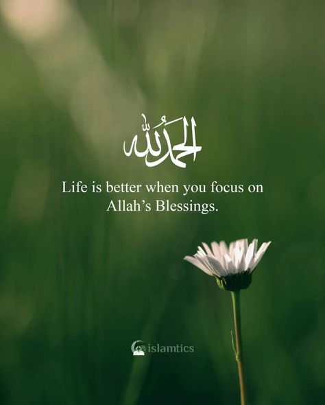 Allah Bless You Quotes, Trust Allah Quotes, May Allah Ease Everything, Life Is A Journey From Allah To Allah, Islamic Quotes In English, Allah Sees Everything Quotes, Allah Will Fix Everything, Al Qur'an Aesthetic, Whatsapp Status Quotes