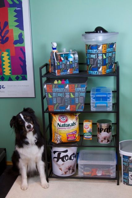 Dog Treats Organization, Pet Supply Organization, Puppy Organization, Toy Food Storage, Dog Stuff Organization, Dog Supplies Organization, Cats Tips, Dog Station, Pet Supplies Organization