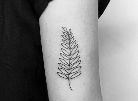 Potted Fern Tattoo, Fern Tattoo Simple, Fern Outline Tattoo, Silver Fern Tattoo New Zealand, Nz Fern Tattoo, Nz Tattoo Ideas, New Zealand Fern Tattoo, Fern Meaning, Small Fern Tattoo