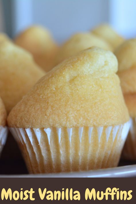 Vanilla Muffins Moist, Moist Vanilla Muffins Recipe, Vanilla Muffins Recipe, Plain Muffins, Basic Muffin, Boston Cream Cupcakes, Basic Muffin Recipe, Busy Mom Recipes, Vanilla Muffins