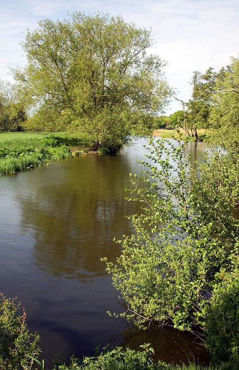 Willow trees line meandering River Stour, Dedham Vale, Essex Suffolk border, England Dedham Vale, Embroidery Goldwork, Willow Trees, Lake Reflection, Jogging Track, River Cottage, River View, Tree Line, Willow Tree