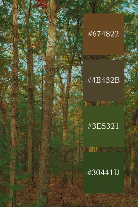 A woodland scene with tall trees and a mix of green and brown tones, creating a warm forest green and brown color palette. Woodland Forest Color Palette, Forest Green And Brown Color Palette, Color Palette Brown Green, Garden Colour Palette, Color Combination With Brown, Forest Green Palette, Forest Color Scheme, Woodland Color Palette, Forest Green Color Palette