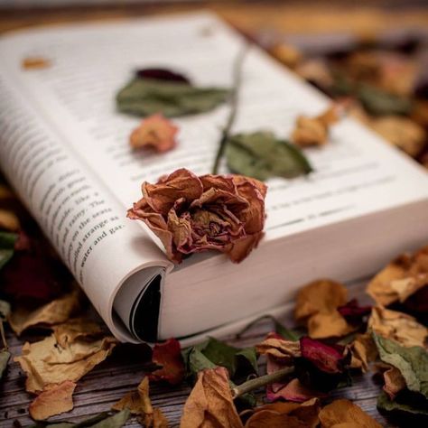 Roses Book, An Open Book, Coffee Wallpaper, Book Flowers, Coffee Photography, Autumn Scenery, Coffee And Books, Open Book, Autumn Aesthetic