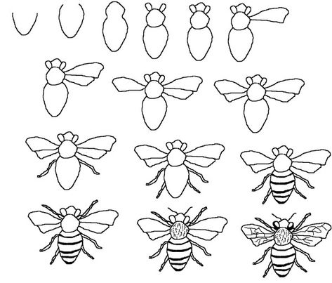 stappenplan bij tekenen Draw Insects, Bee Drawing, Draw Painting, Drawing Lesson, Drawing Tutorials For Kids, Siluete Umane, Soyut Sanat Tabloları, Pola Sulam, Bee Art