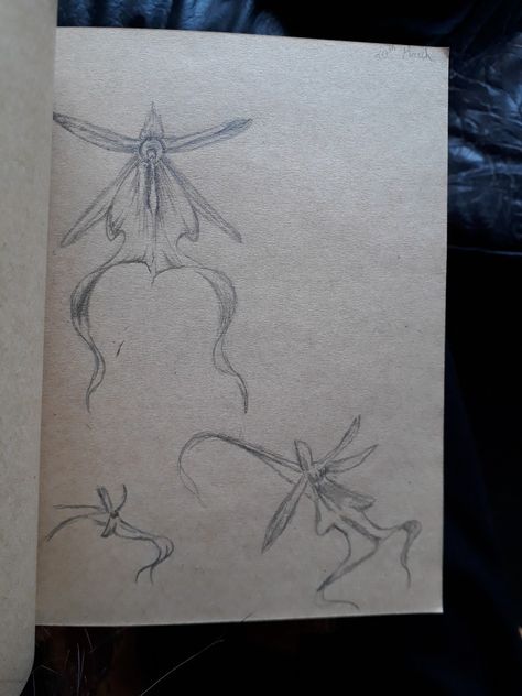 Ghost Orchid Drawing, Orchid Sketch, Ghost Orchid, Orchid Drawing, Small Tattoos, Body Art, Camouflage, Tatting, Orchids