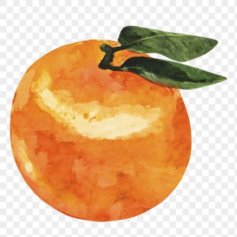 Orange Png, Fruit Watercolor, Italian Party, Leaves Png, Orange Watercolor, Fruit Orange, Watercolor Png, Orange Fruit, Watercolor Leaves