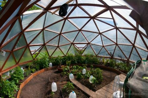 Our Geodesic Dome Greenhouse's New Home Geodesic House, Underground Houses, Geodesic Dome Greenhouse, Underground House, Plant Watering System, Greenhouse Supplies, Casa Hobbit, Dome Greenhouse, Dome Homes