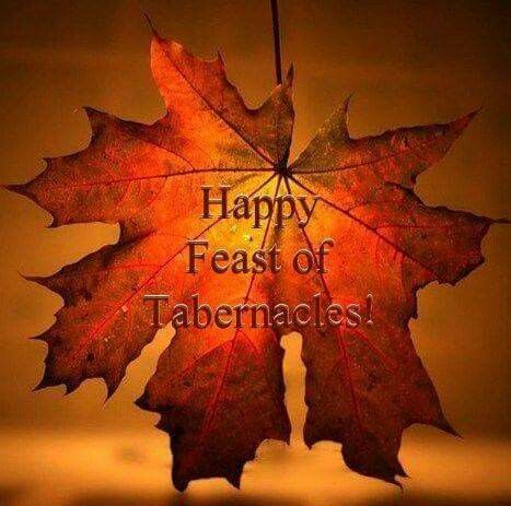 Happy FEAST OF TABERNACLES                              … Happy Fall Yall Wallpaper, Happy Feast, Feast Of Tabernacles, Photography Assignments, Sukkot, Autumn Beauty, Fall Nail Designs, Pics Art, Autumn Photography