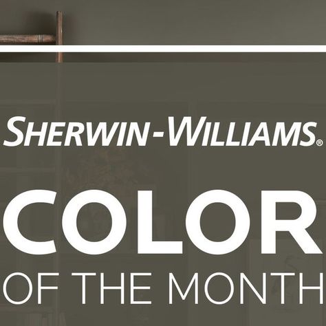 Sherwin-Williams Design Pros on Instagram: "The cozy allure of home intertwines seamlessly with the beauty of nature with our March Color of the Month, Roycroft Bronze Green SW 2846. Order your complimentary color samples with your PRO+ account at the link in our bio.  🎨:  Roycroft Bronze Green SW 2846 White Sesame SW 9586 Twig Basket SW 9529 Alabaster SW 7008 (255-C2) Double Latte SW 9108 (204-C4) Wheat Penny SW 7705 (287-C6) Willowleaf SW 9649 Tarragon SW 9660" Roycroft Bronze Green, Homburg Gray, Twig Basket, March Colors, February Colors, Color Of The Month, Bronze Green, Sherwin Williams Colors, Homburg