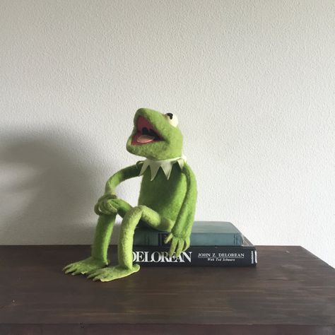 Kermit Meme, Frog Doll, Spotify Covers, Kermit The Frog, Well Decor, The Frog, Frogs, Girl Cartoon, Vintage Home Decor