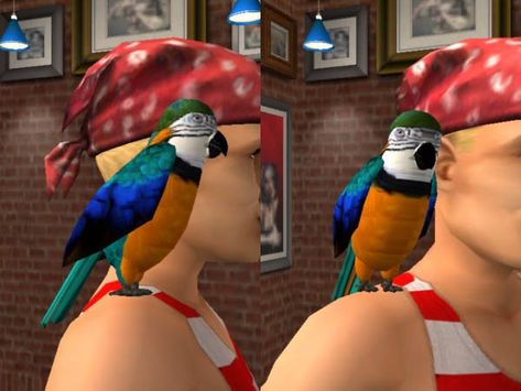 Mod The Sims - Parrot for the Right Shoulder - Pirate pt. 3 People Running, Comic Book Characters, Cc Sims, Sims 2, Book Characters, The Sims, Sims 4, Parrot, Something To Do