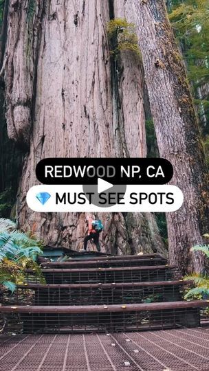 16K views · 1.4K reactions | Save this for your next trip to Redwood National Park! ⬇️
 
🚗 Now is the perfect time to start planning a weekend trip to Redwood National Park (and some other nearby spots) for this fall! 

⏰ If you have extra time, definitely spend an extra day or two - there is so much to do and see! I enjoy the go-go-go type of trips and trying to squeeze as much as possible into the day. Wake up early and make the most of the day! Target short hikes to see more gems! 

Friday 🚗 - Drive from San Francisco to Klamath (~6 hours)

Saturday - Adventure north of Klamath
💎 Klamath River Overlook
📍 Hidden Beach Trail
💎 Giant Paul Bunyan and Babe the Blue Ox (Trees of Mystery)
📍 Grove of Titans (Jedediah Smith Redwoods State Park)
📍 Stout Grove (Jedediah Smith Redwoods State Paul Bunyan And Babe, Prairie Creek Redwoods State Park, Jedediah Smith Redwoods State Park, Trees Of Mystery, Babe The Blue Ox, Paul Bunyan, North Carolina Travel, Redwood National Park, Vacation Activities