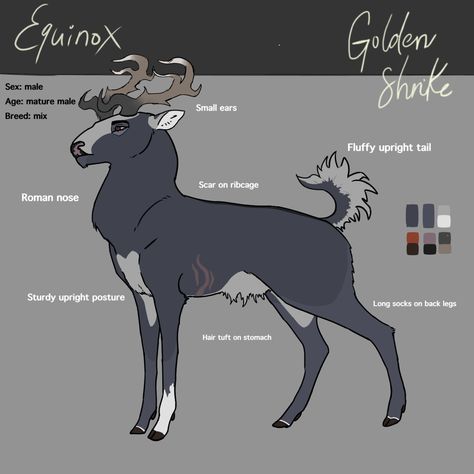 Golden Shrike Comic, Golden Shrike, Deer Oc, Deer Drawing, Deer Illustration, Animated Animals, Deer Art, Undertale Funny, Pizza Rolls