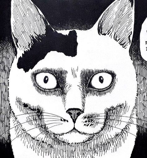 Cat Diary, Architecture Drawing Sketchbooks, Japanese Horror, Cat Sketch, Unique Drawings, Junji Ito, Dark Art Illustrations, Realistic Art, Cat Drawing