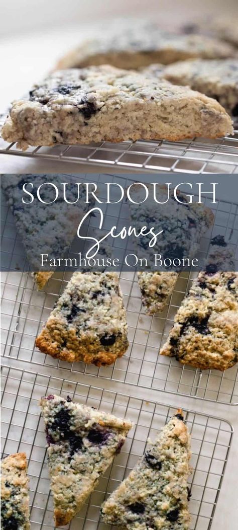 These sourdough scones are the perfect master scone recipe. They have a tender crumb on the inside and are the perfect base for all of your favorite add-ins. #farmhouseonboone #sourdoughscones #sconesrn Farmhouse On Boone Sourdough, Sourdough Scones Recipe, Discard Scones, Sourdough Discard Scones, Sourdough Scones, Farmhouse On Boone, Recipe Using Sourdough Starter, Sourdough Bread Starter, Sourdough Starter Discard Recipe