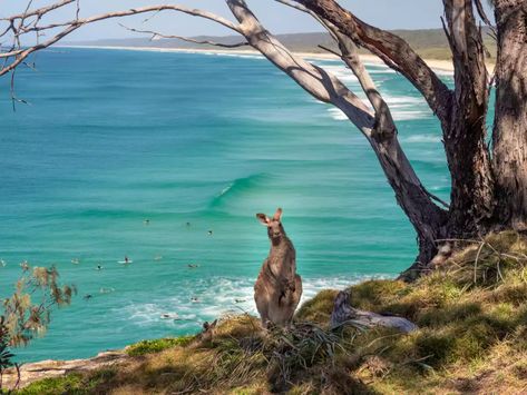 Stradbroke Island Australia, North Stradbroke Island, Saint Helena Island, Uk Pub, Stradbroke Island, Australia Tourism, Traditional Advertising, Social Media Agency, Travel Marketing