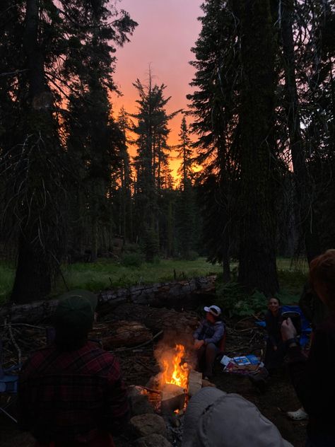 Forest Campfire, Camping Forest, Sierra Core, Shawnee National Forest, Forest Camp, Forest Sunset, Forest Cabin, Forest Mountain, Mountain Sunset