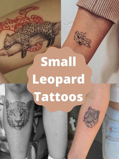 67 Leopard Tattoo Designs & Meaning - TattooGlee Leopard Feather Tattoo, Leopard Wrist Tattoo, Feminine Leopard Tattoo, Animal Cracker Tattoo, Tiny Leopard Tattoo, Leopard Minimalist Tattoo, Snow Leopard Tattoo Women, Small Leopard Tattoo For Women, Simple Leopard Tattoo