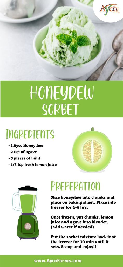 Do you have a sweet tooth? Check out this quick and healthy honeydew recipe! This is a perfect bite to satisfy your chocolate needs! Try it today. Honeydew Melon Recipes, Honeydew Recipe, Honeydew Sorbet, Melon Recipes, Honeydew Melon, School Snack, School Snacks, Honeydew, Fresh Lemon Juice