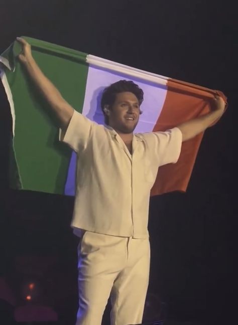 Electric Picnic, Hello Lover, Estilo Taylor Swift, One Direction Photos, Irish Princess, Irish Flag, Irish Boys, One Direction Harry, Dance With You